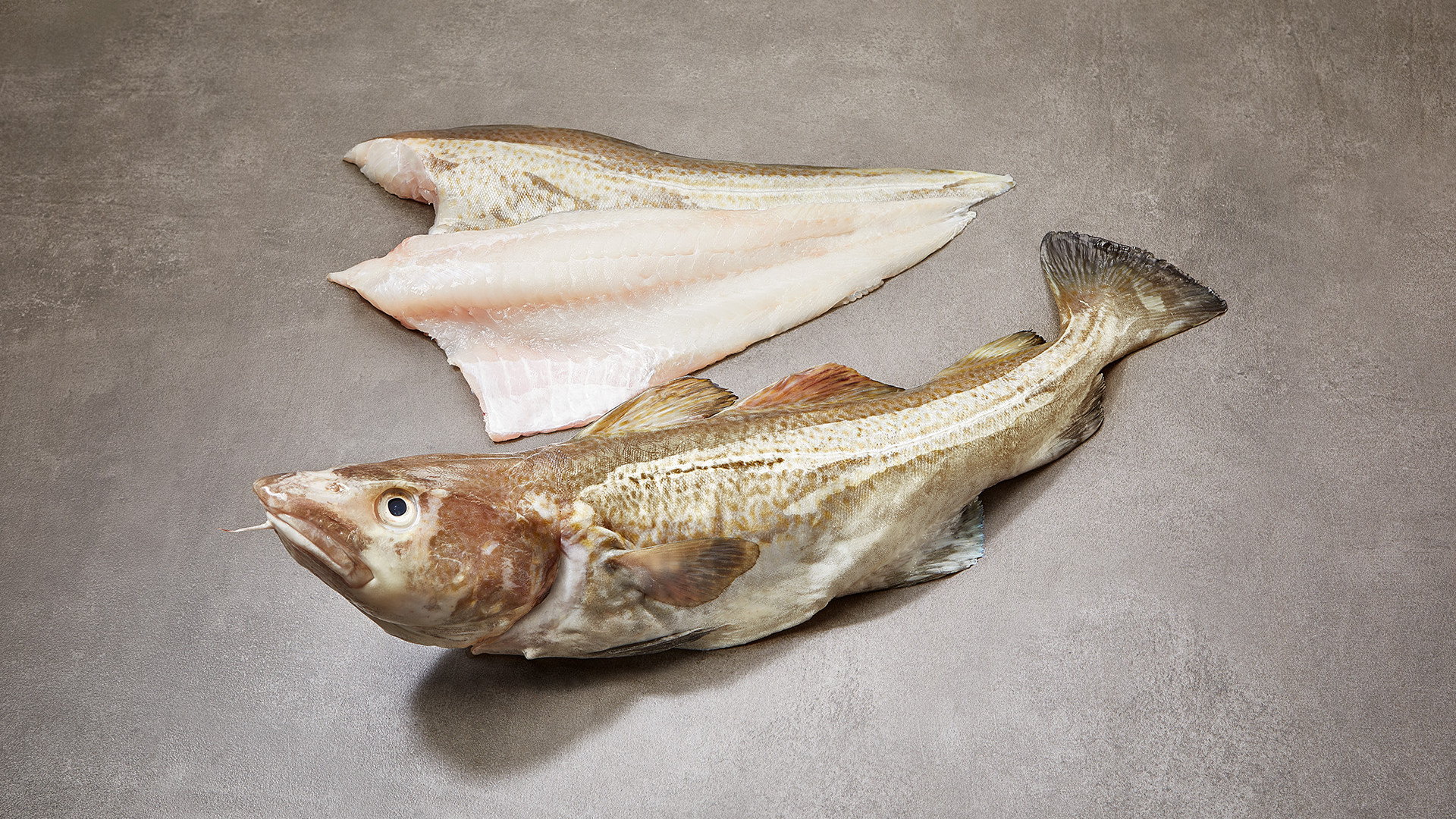 Kabeljauw, vis van de maand maart